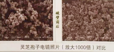 �`֥���ӷ�ʹ���f����B