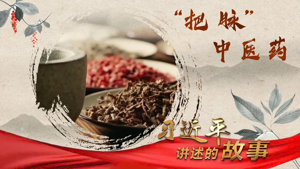 �v���Ĺ��£������}�����tˎ